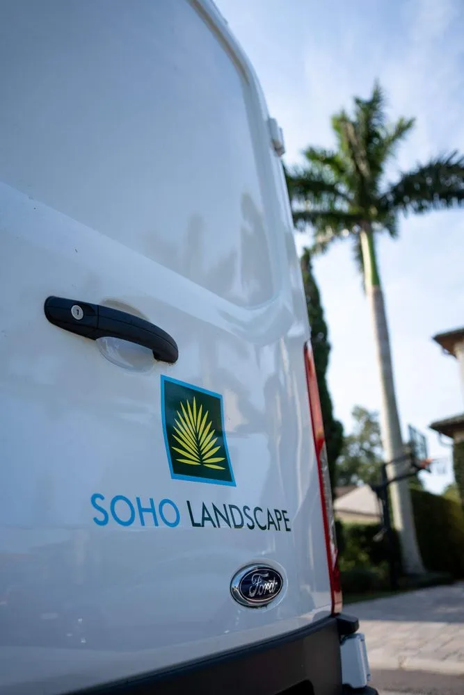 Expert landscape installation in Tampa, FL - SoHo Landscape