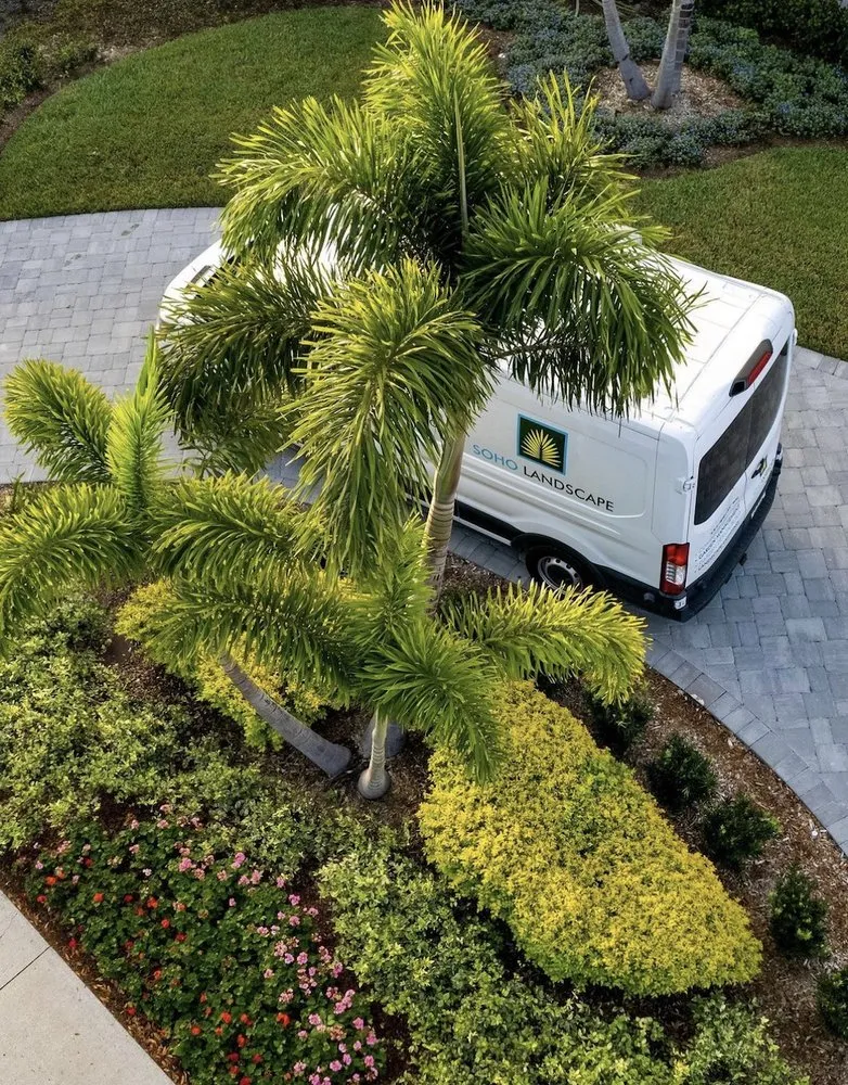 Professional lawn care service for year-round maintenance in Tampa, FL by SoHo Landscape