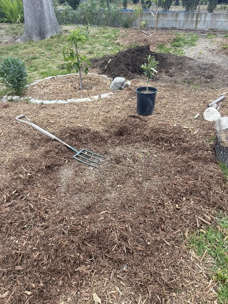 Trusted landscape installation in Pacoima, CA - Soil & Sod Depot