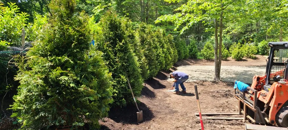 Top-rated lawn mowing service for beautiful yards across Aquebogue, NY - Soil & Stone Landscapes