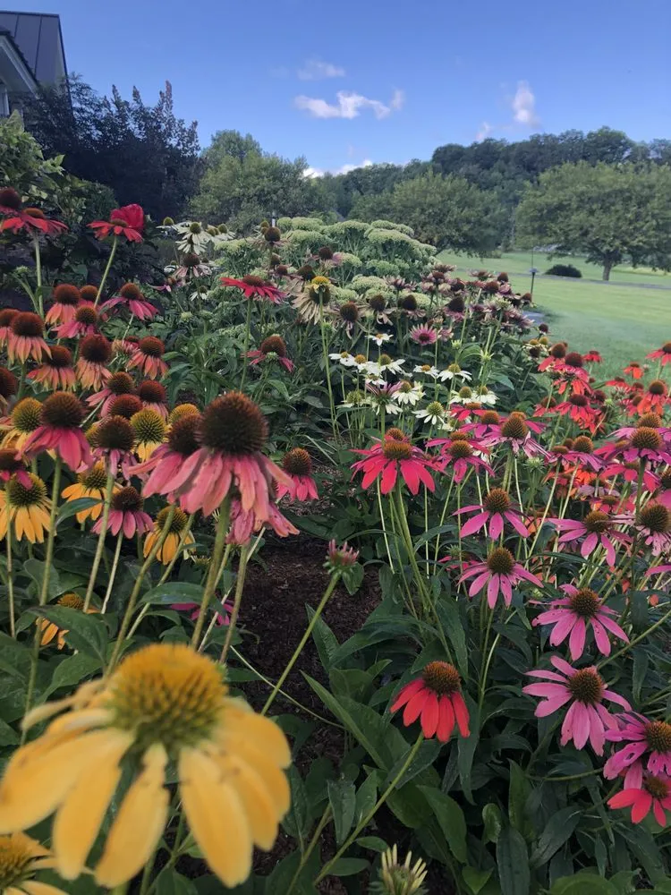 Custom garden landscaping for beautiful yards across West Pawlet, VT - Soil and Stem Gardening