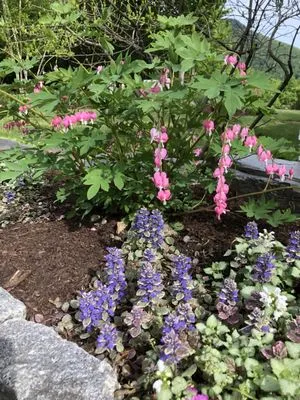 Soil and Stem Gardening