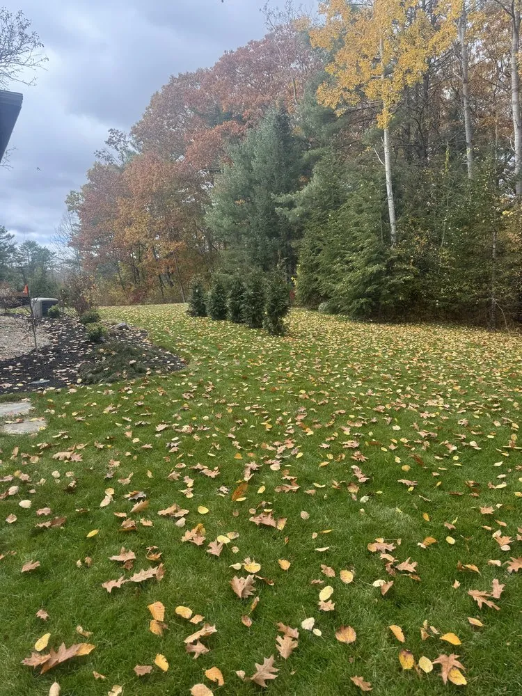 Trusted outdoor landscaping near you in West Durham, ME by Soil Builders