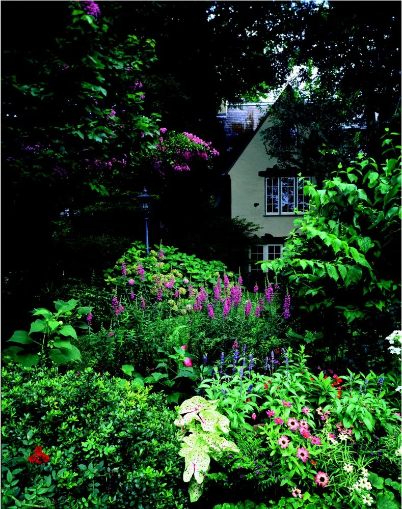 Professional outdoor landscaping for outdoor upgrades in Dallas, TX by Soil Building Systems