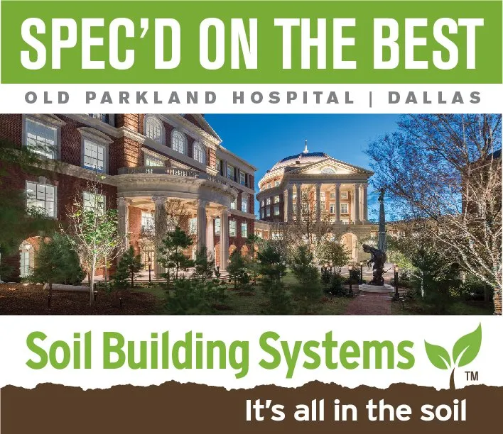 Reliable yard cleanup service in Dallas, TX by Soil Building Systems