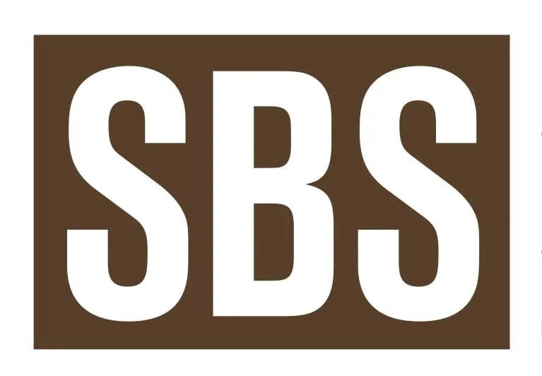 Top-rated yard cleanup service with custom design in Dallas, TX by Soil Building Systems