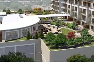 Top-rated lawn mowing service in Dallas, TX - Soil Building Systems