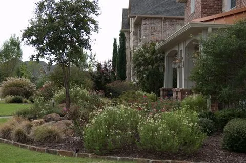 Reliable landscaping services experts serving Dallas, TX - Soil Building Systems