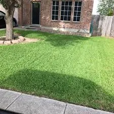 Expert landscape design for residential properties across Winter Haven, FL - Soil Growth Services