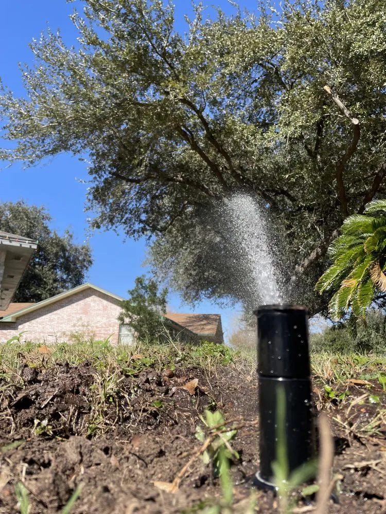 Trusted landscape design in Edinburg, TX - Soil Pro Irrigation