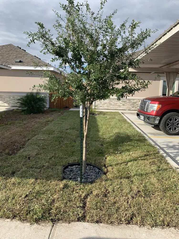 Custom garden landscaping for homes in Edinburg, TX by Soil Pro Irrigation