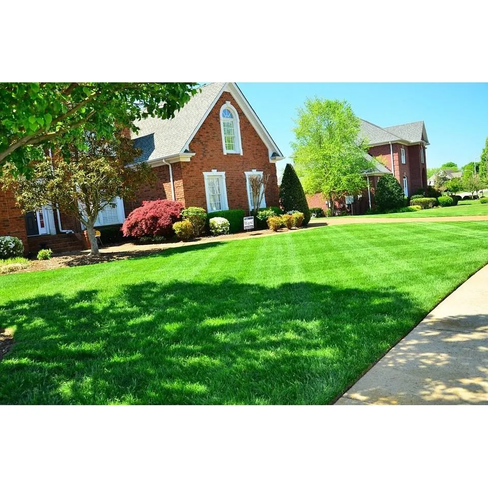 Top-rated residential landscaping with custom design in Arcata, CA by Soil Seekers Landscape