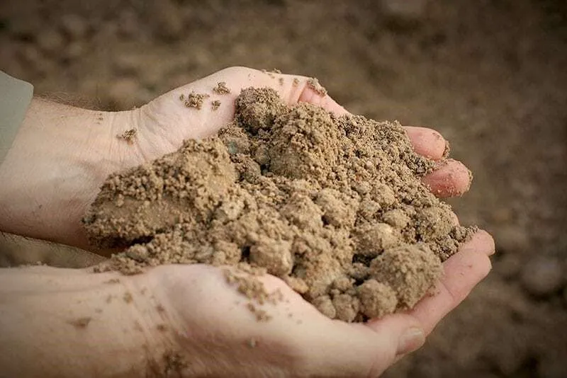 Local landscape design for outdoor upgrades in Powhatan, VA by Soil Solutions Group