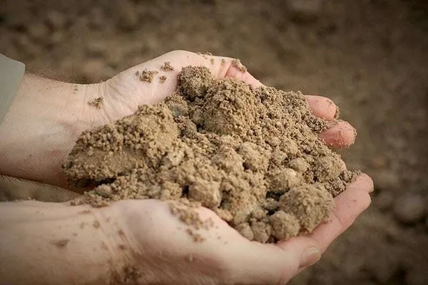 Soil Solutions Group Logo