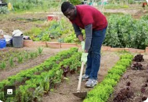 Reliable outdoor landscaping experts serving Philadelphia, PA - Soil'd Cultures