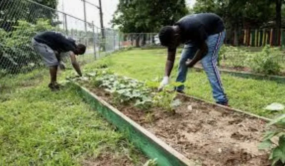 Expert yard maintenance in Philadelphia, PA - Soil'd Cultures