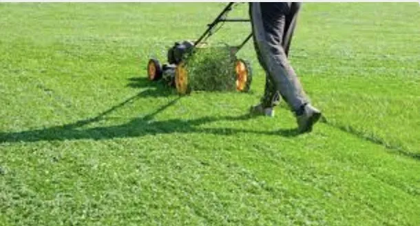 Professional yard maintenance for beautiful yards in Philadelphia, PA by Soil'd Cultures