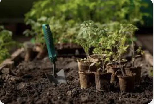 Local landscape design in Philadelphia, PA - Soil'd Cultures