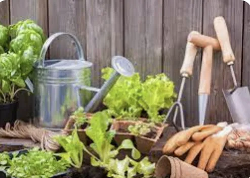 Expert lawn care service for homes in Philadelphia, PA by Soil'd Cultures