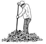 Professional outdoor landscaping near you in Philadelphia, PA by Soil'd Cultures