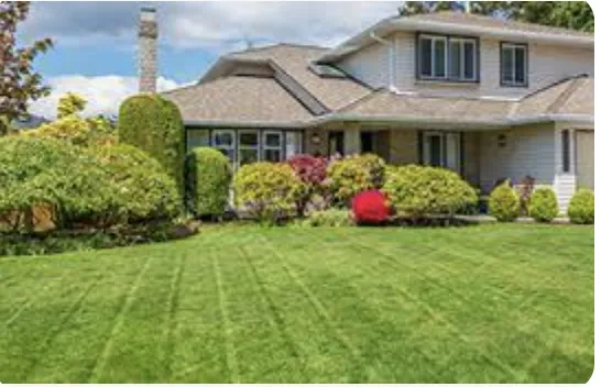 Affordable lawn mowing service for residential properties across Philadelphia, PA - Soil'd Cultures