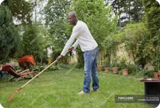Local landscape design for homes in Philadelphia, PA by Soil'd Cultures