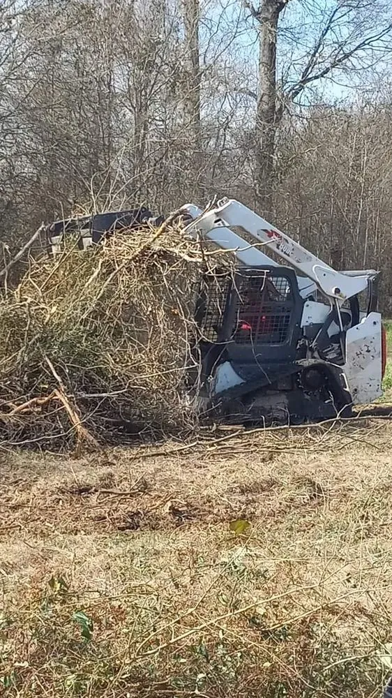 Professional landscape design for outdoor upgrades across Eunice, LA - Soileau's Lawn and Heavy Equipment