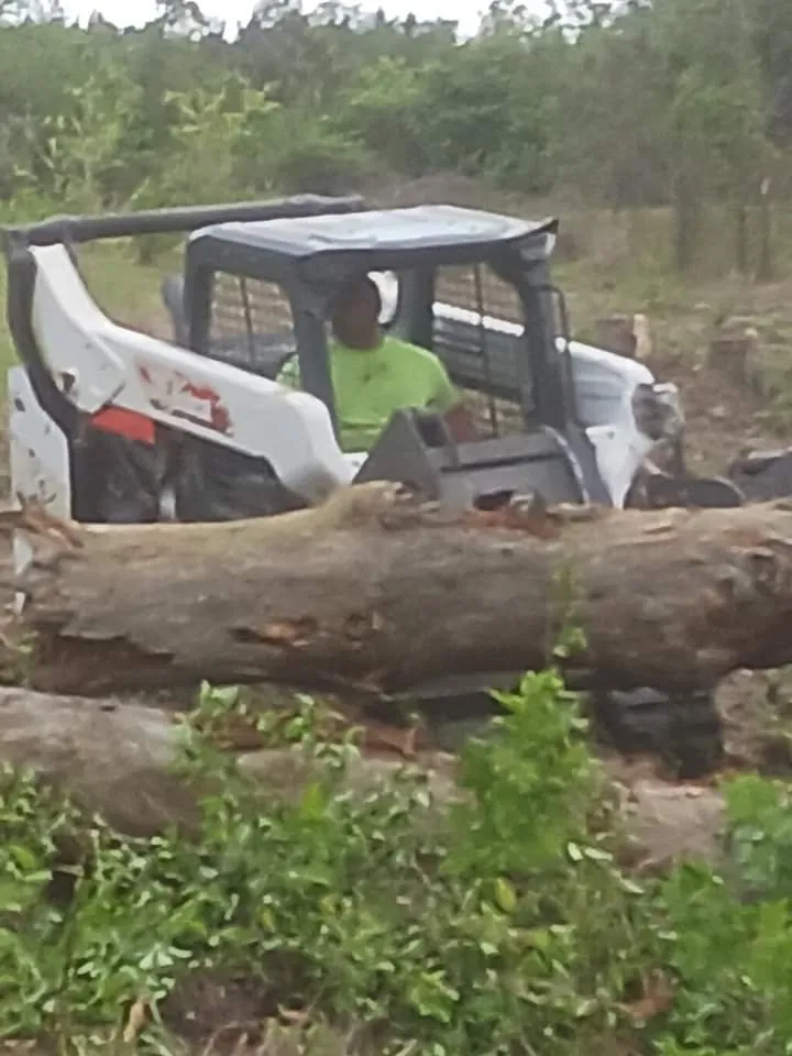 Trusted landscaping services experts serving Eunice, LA - Soileau's Lawn and Heavy Equipment