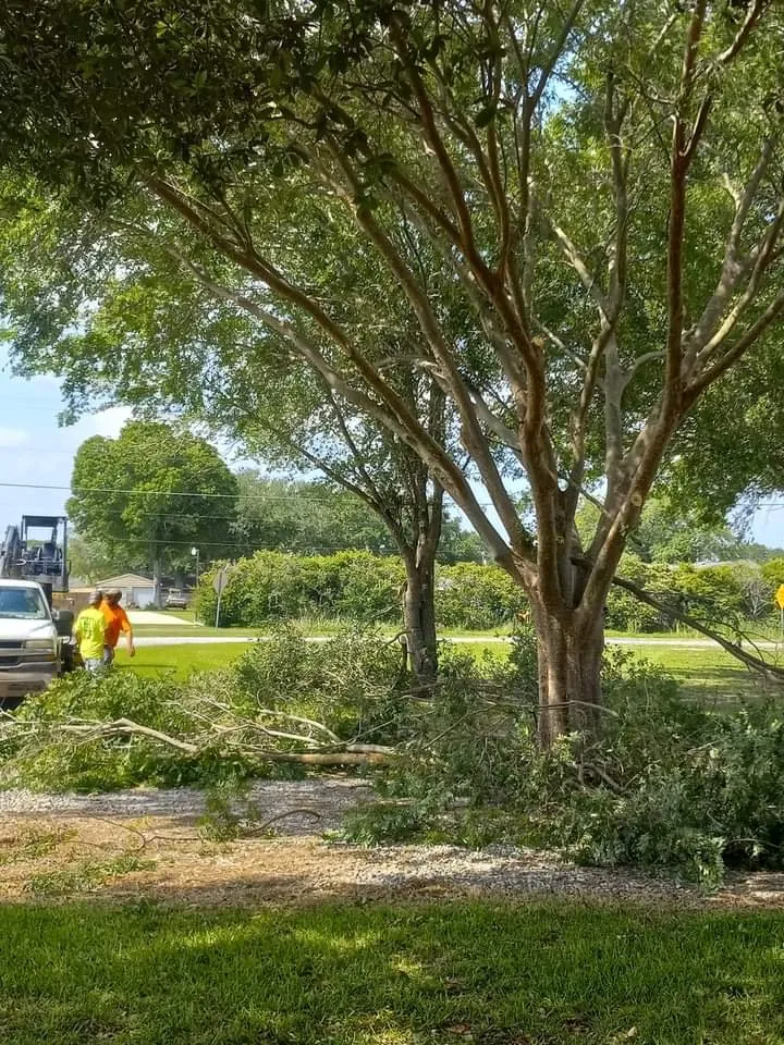 Local residential landscaping for outdoor upgrades in Eunice, LA by Soileau's Lawn and Heavy Equipment