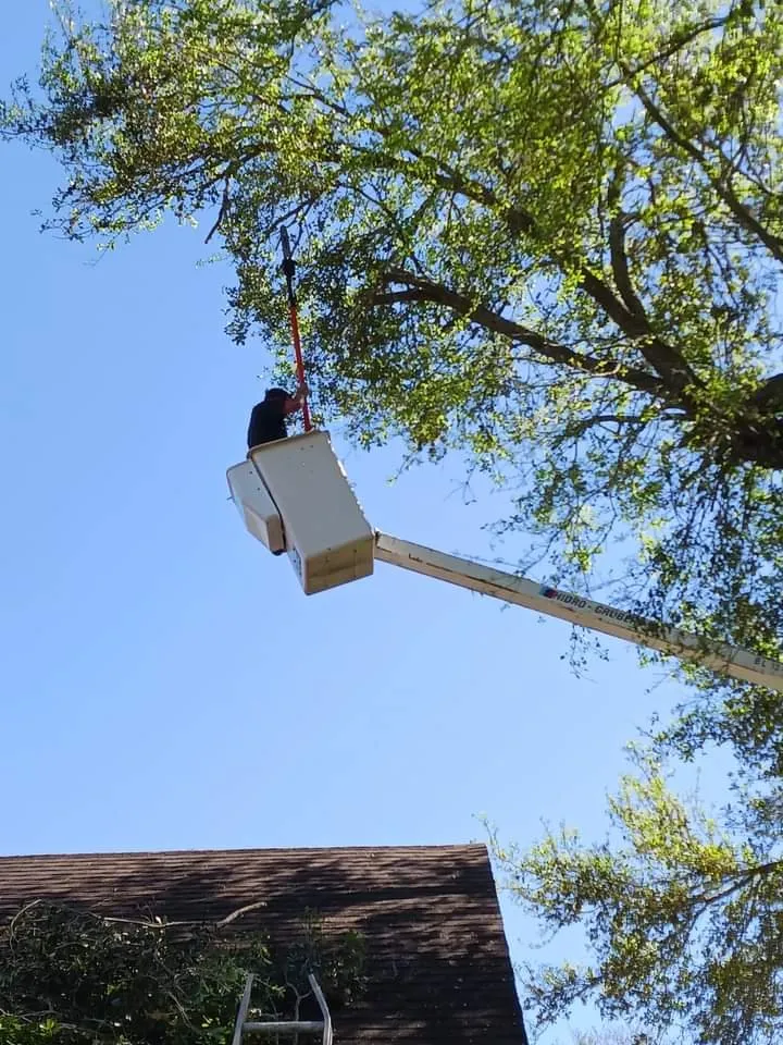 Local lawn mowing service in Eunice, LA by Soileau's Lawn and Heavy Equipment