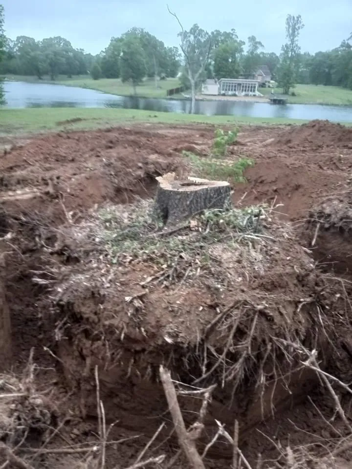 Professional landscape installation in Eunice, LA - Soileau's Lawn and Heavy Equipment