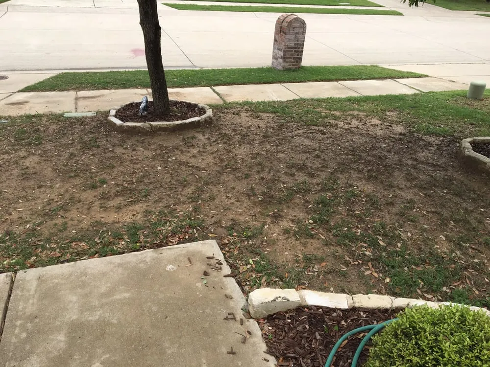 Reliable landscape design in Garland, TX - Soils Alive Organic Lawn Care