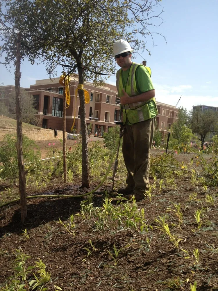 Expert landscaping services for residential properties across Garland, TX - Soils Alive Organic Lawn Care