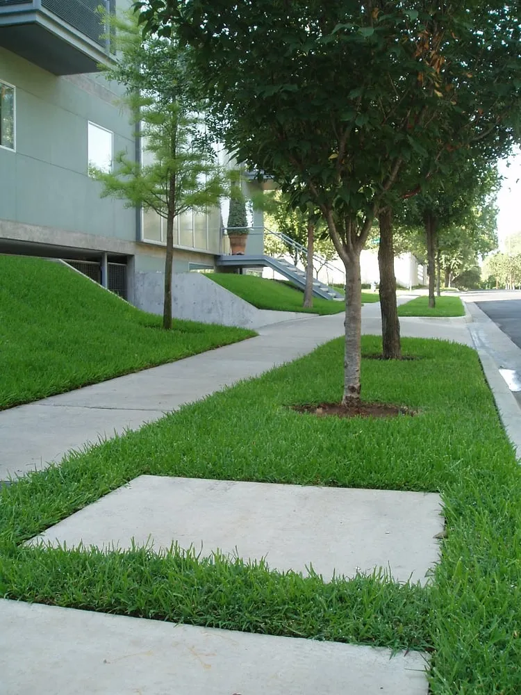 Local residential landscaping in Garland, TX - Soils Alive Organic Lawn Care