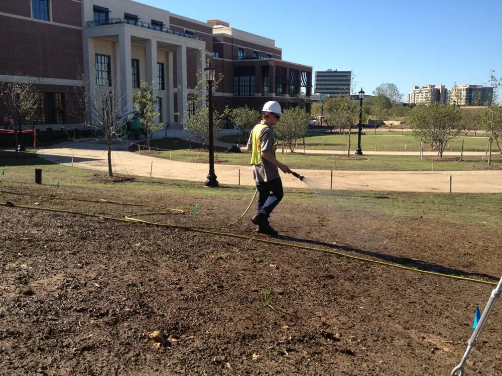 Professional yard cleanup service for outdoor upgrades in Garland, TX by Soils Alive Organic Lawn Care