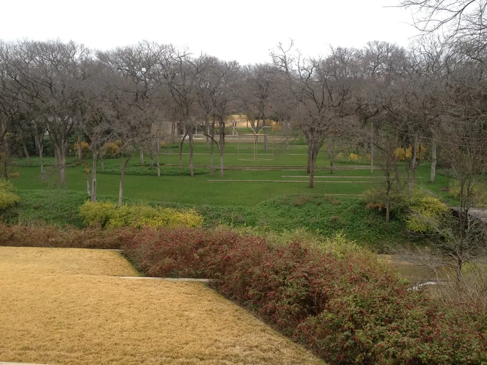 Trusted residential landscaping for beautiful yards across Garland, TX - Soils Alive Organic Lawn Care
