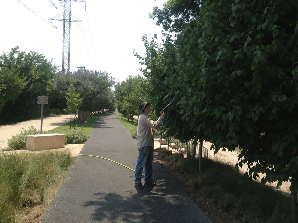 Reliable outdoor landscaping experts serving Garland, TX - Soils Alive Organic Lawn Care