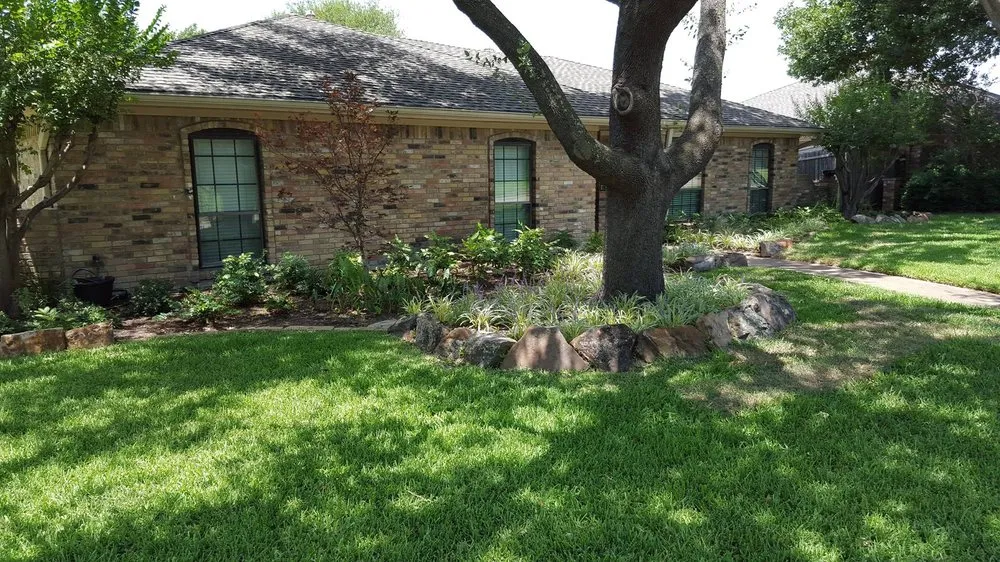 Expert lawn care service for homes in Garland, TX by Soils Alive Organic Lawn Care
