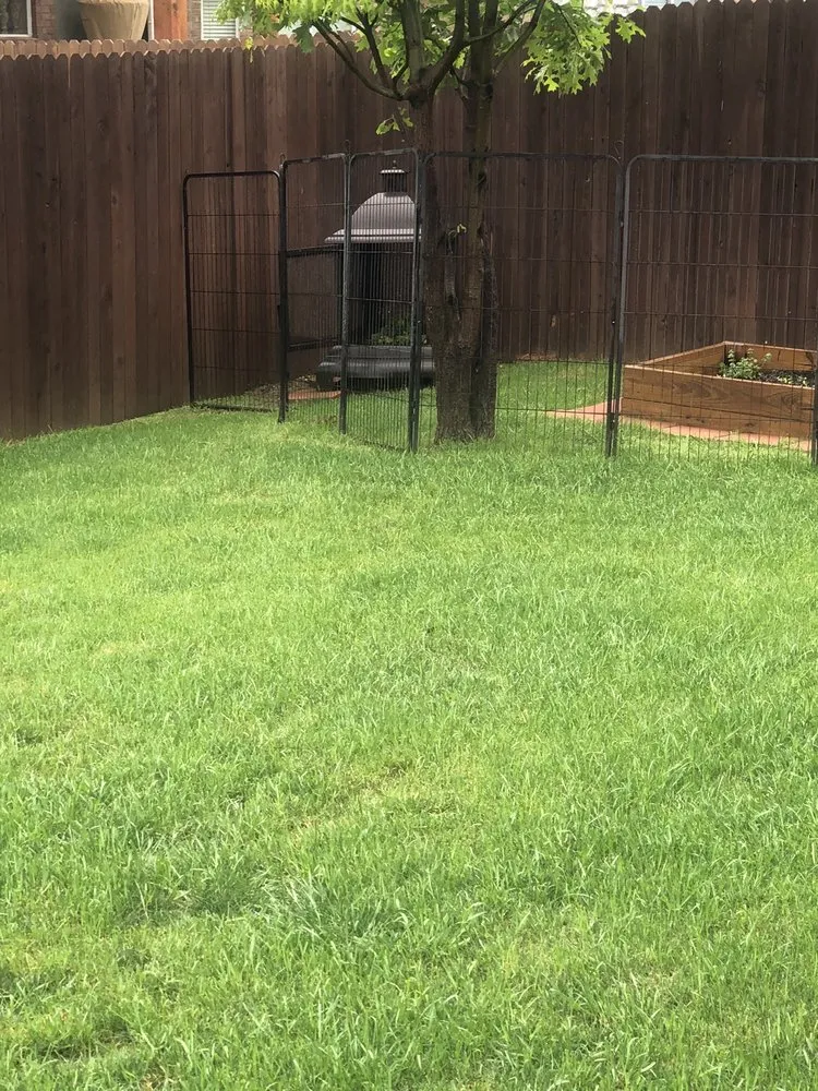 Affordable yard cleanup service in Garland, TX - Soils Alive Organic Lawn Care