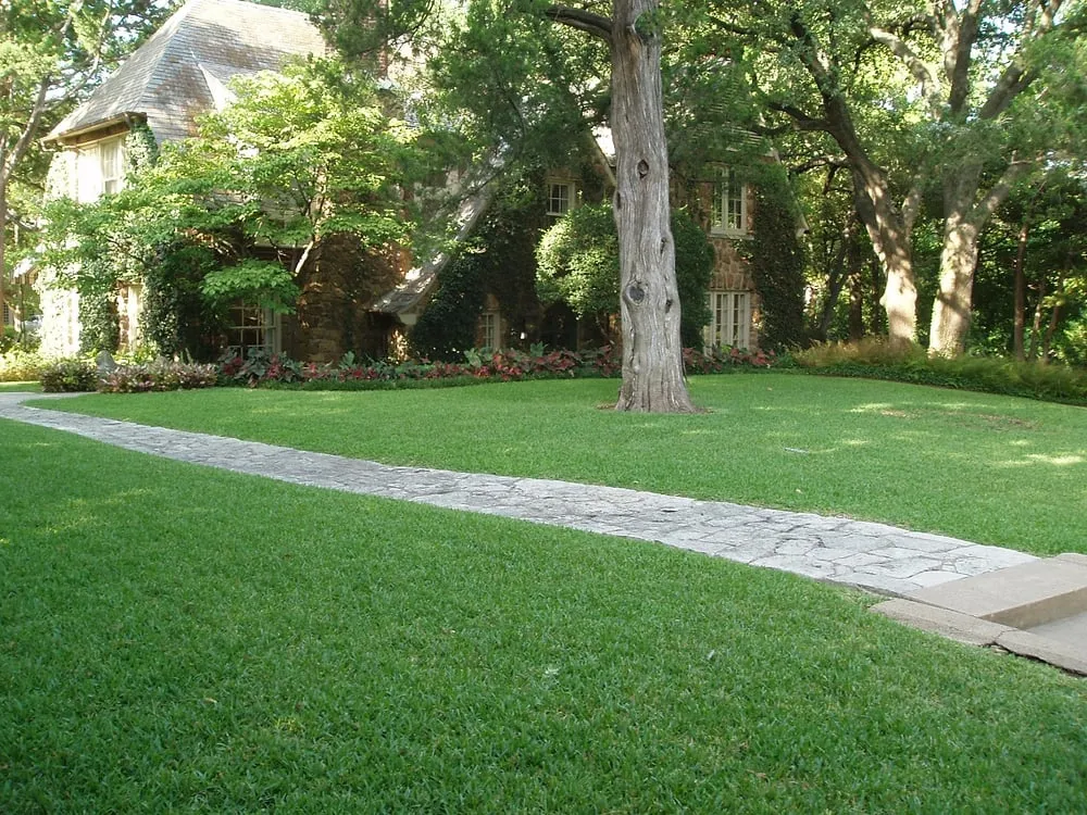 Local lawn care service in Garland, TX - Soils Alive Organic Lawn Care