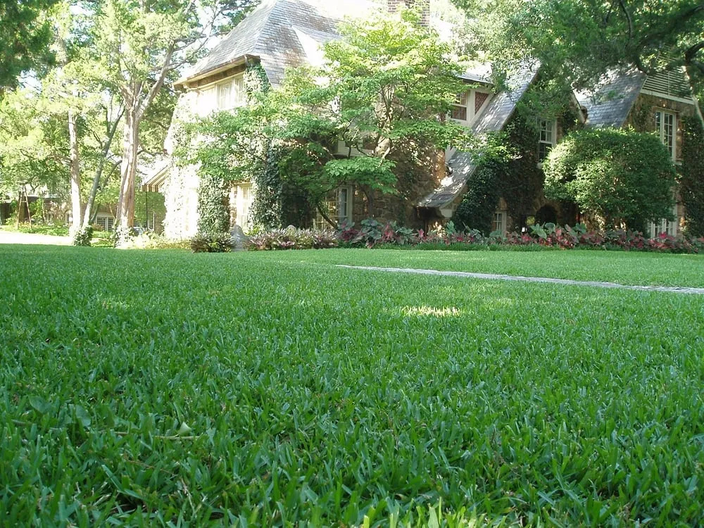 Top-rated landscape installation in Garland, TX by Soils Alive Organic Lawn Care