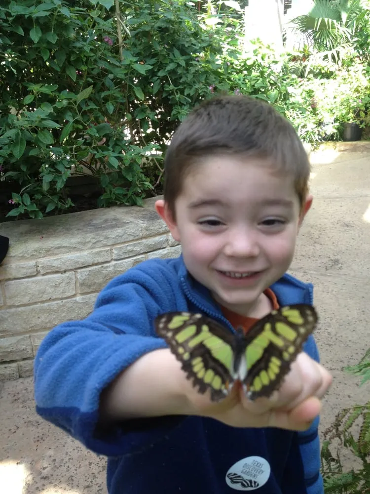 Expert garden landscaping experts serving Garland, TX - Soils Alive Organic Lawn Care