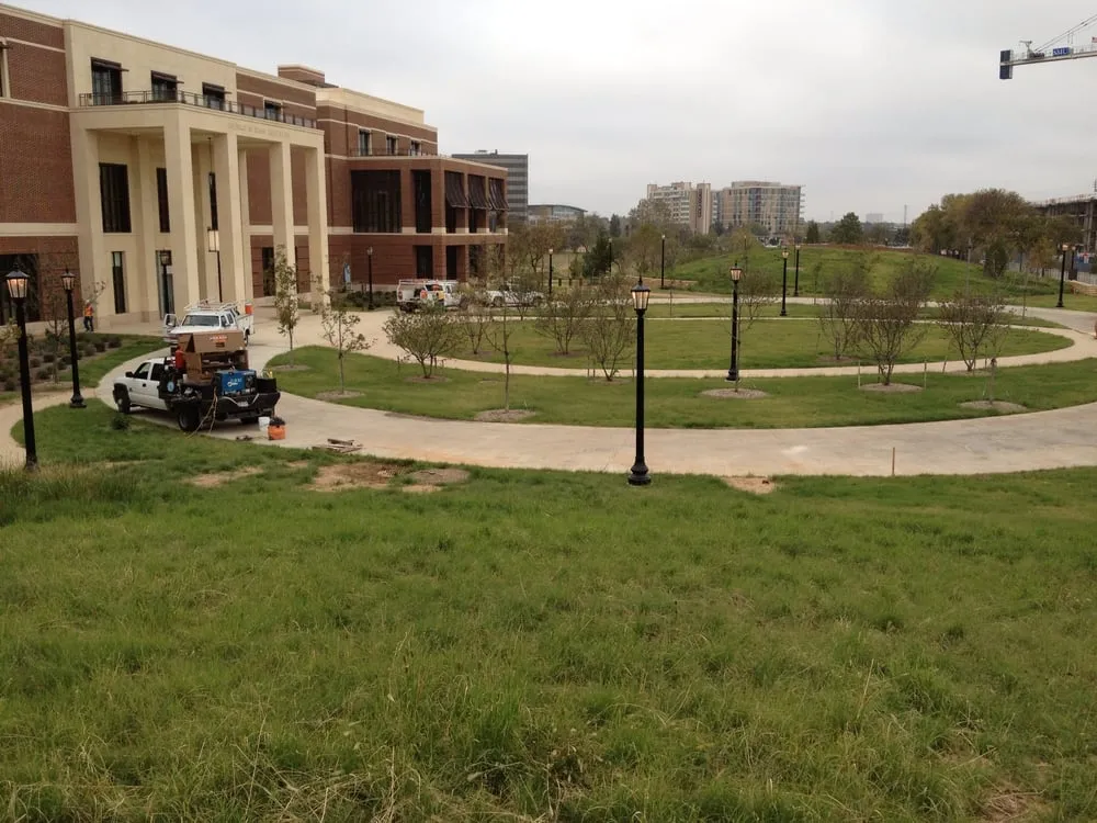 Local yard cleanup service with custom design in Garland, TX by Soils Alive Organic Lawn Care