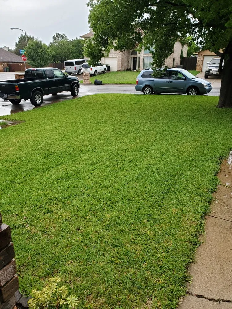 Custom landscaping services in Garland, TX by Soils Alive Organic Lawn Care
