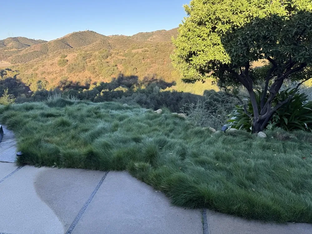 Local lawn mowing service with custom design in Camarillo, CA by Soils Solutions