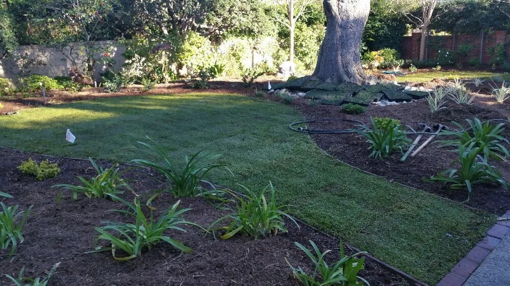 Trusted landscape design in Camarillo, CA - Soils Solutions