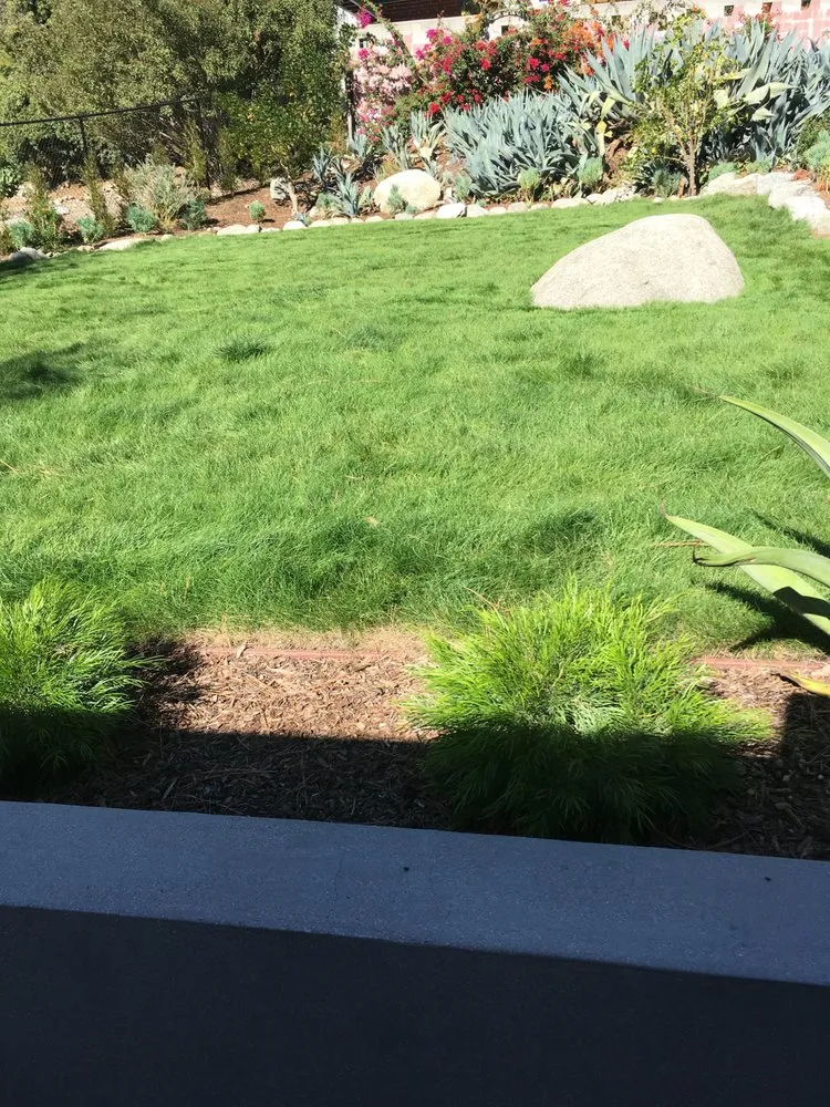 Top-rated lawn mowing service for homes in Camarillo, CA by Soils Solutions