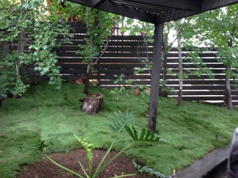 Top-rated landscape installation near you in Camarillo, CA by Soils Solutions