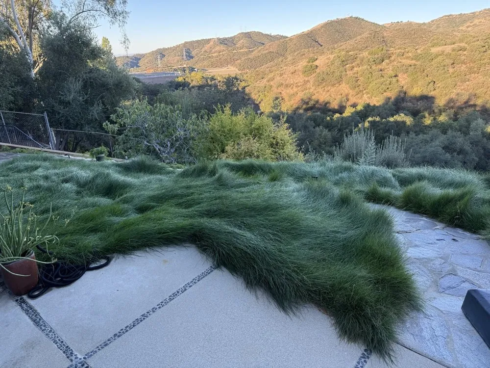 Affordable yard maintenance experts serving Camarillo, CA - Soils Solutions