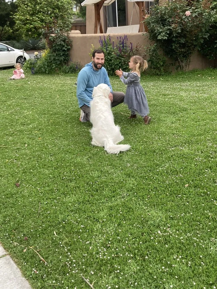 Custom yard cleanup service for beautiful yards across Camarillo, CA - Soils Solutions